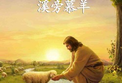 郑大有：《人生面面观》合集